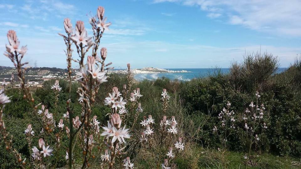 Azienda Agricola Gentile - La Casa Degli Ulivi Vieste Eksteriør bilde
